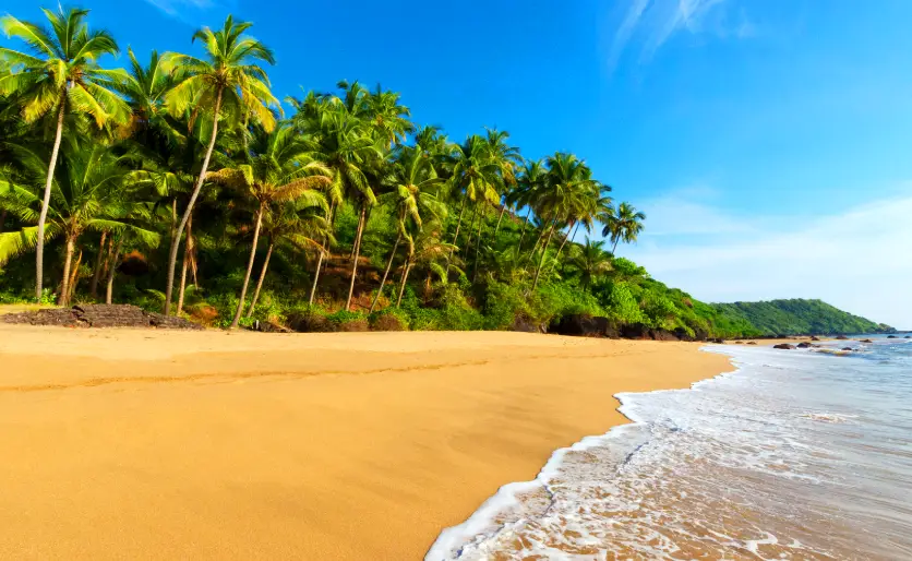 Best Beaches in South Goa – A Complete Guide